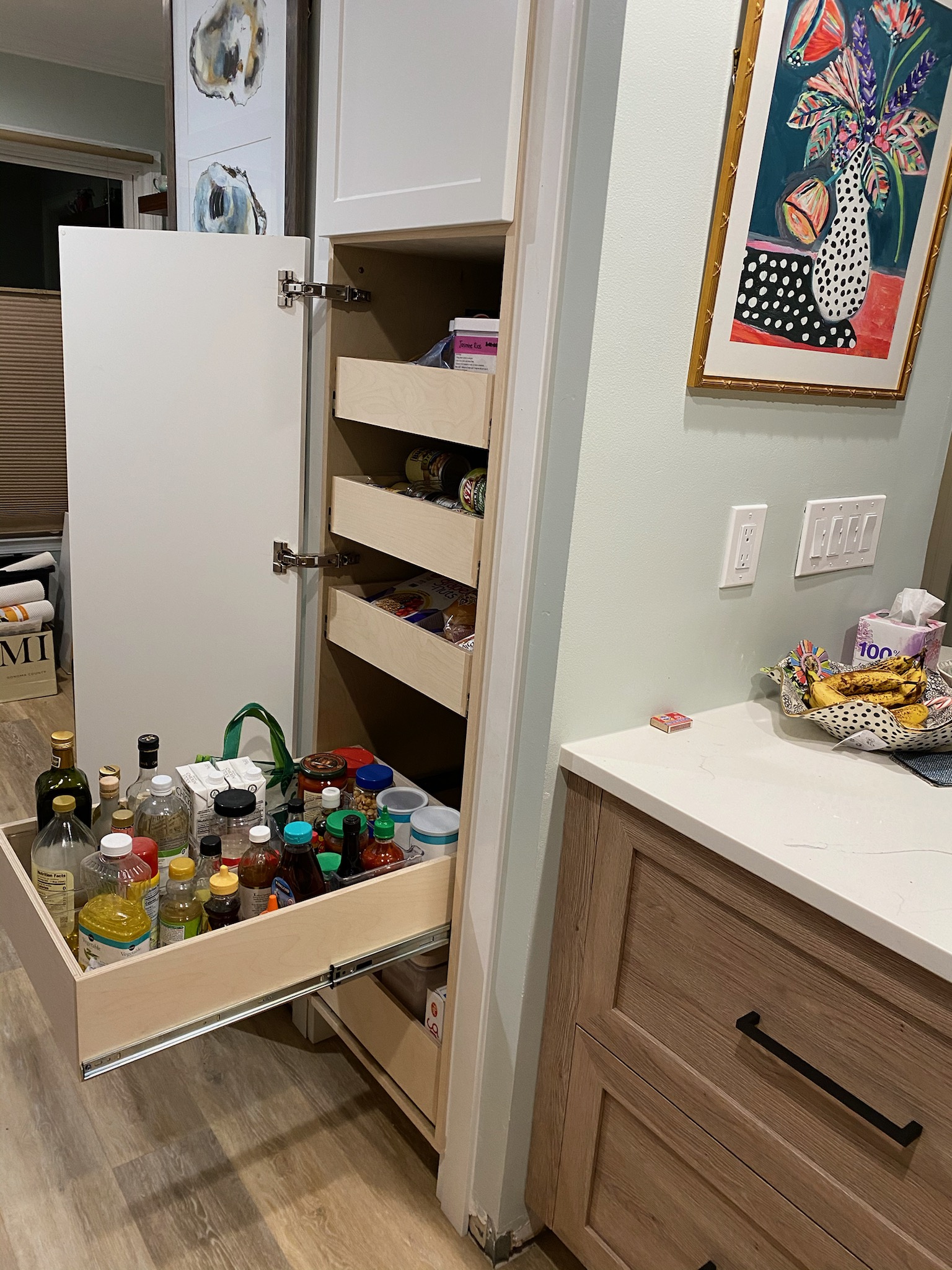 Kitchen Pantry Conversion